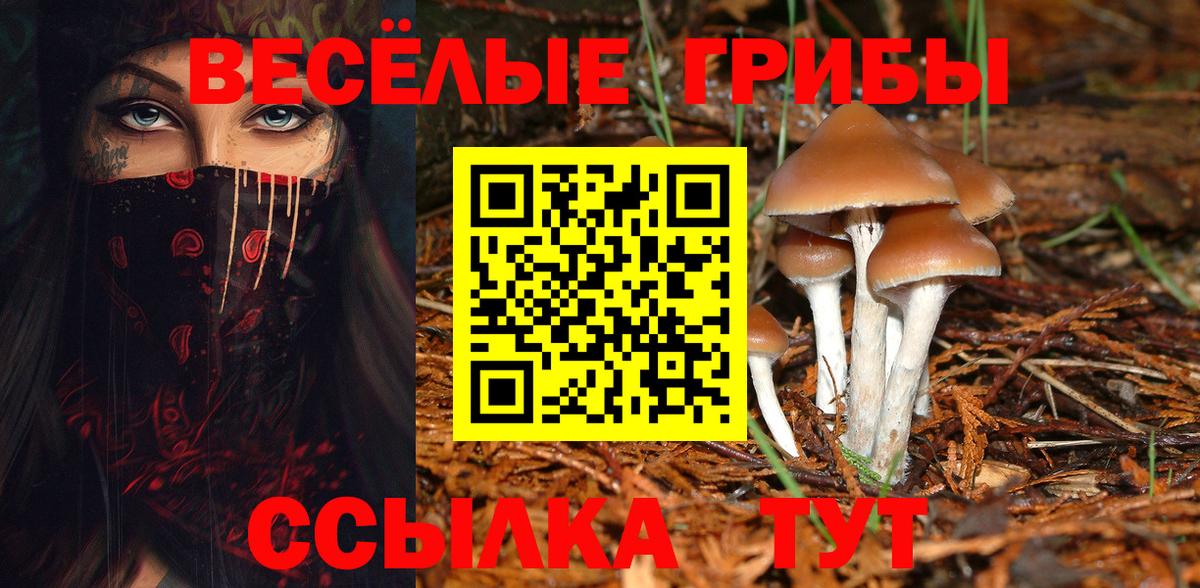 Губкин  Псилоцибиновые грибы MAGIC MUSHROOMS  Вход с VPN 